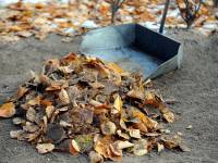 В Латгале официальная безработица вдвое выше, чем по стране